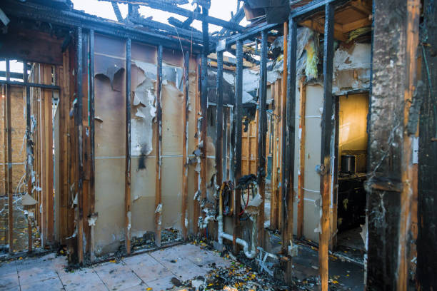 Professional Fire Damage Removal technician working in Dublin, TX